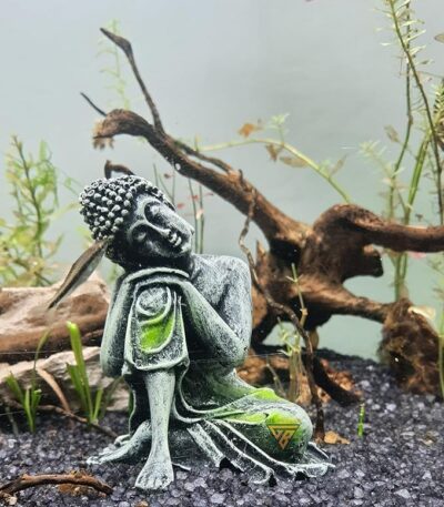 Unique Garden Decor Ideas to Personalize Your Outdoor Space