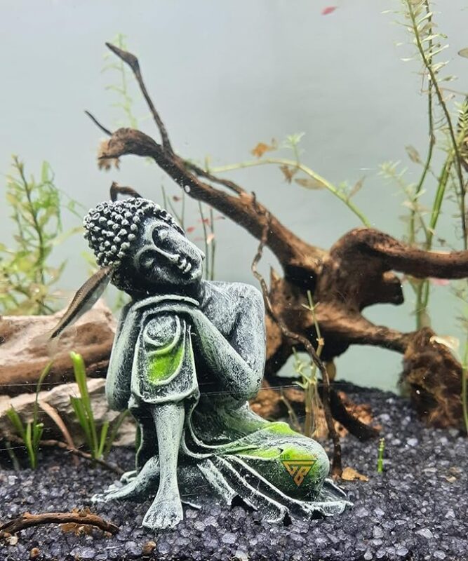 Unique Garden Decor Ideas to Personalize Your Outdoor Space