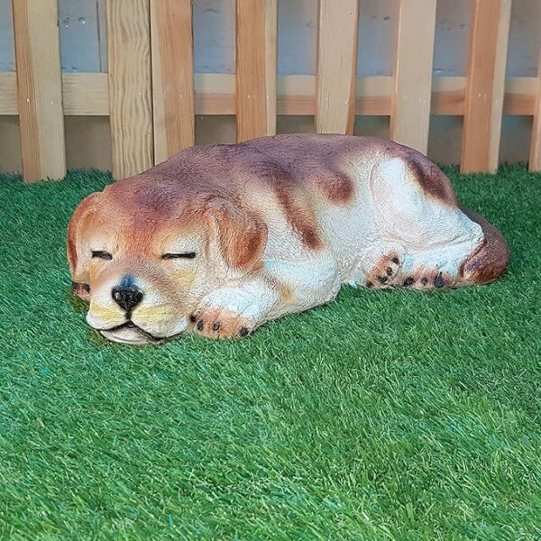 Sleeping Dog for Home Decor